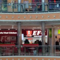 ЕФС/ EFC в Золотом Кольце
